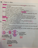 Chapter 12- Mitosis