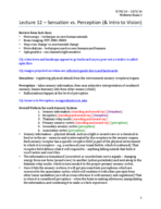Lecture 12 - Sensation vs Perception