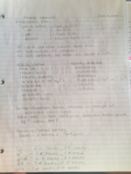 Gen Chem study guide, Exam 1