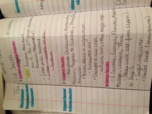 History 1301, Week 10