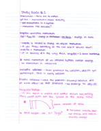 Physics Study Guide 2