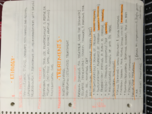 drug abuse etiology