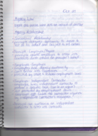 Agency Law