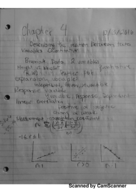 Chapter Four