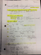 Lecture 10/27/16 Notes CHEM245