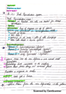 Chapter 21 Notes
