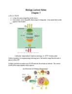 Chapter 7 Biology Notes