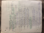 French 4 Chapter 10