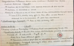 Neurobio Notes week 5