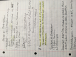BIO 111 Photosynthesis Notes