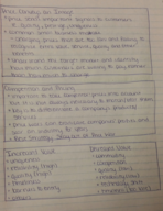 Entreprenuership Notes Pricing