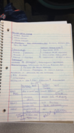 Micro week 11 notes