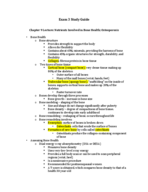 HS 331: Exam 3 Study Guide