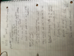 Citizen Politics, PODI 1100, week 10 Notes