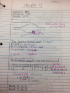 Genetics - Weese - Ch. 13 notes