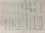 Bio chapter 12 