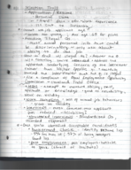 Honors Exploring Business Notes