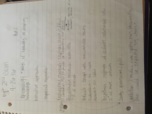Sociology notes