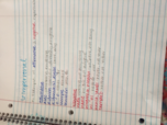 Spanish 2310-Week 7