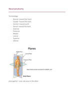 Neuroanatomy and Intro to Neuroscience 