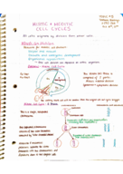 BiSc 1111 Test 2 Study Guide on Units 5,6,7,8