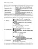 11/4/16 Notes