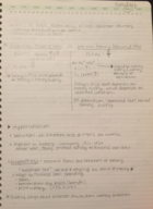 ECON 3123, Week 12 Notes