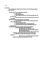 Week 10 Notes