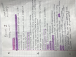 Anth 135 Exam 2
