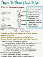 Chapter 10: Meiosis and the Sexual Life Cycles