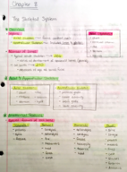 Human Anatomy & Physiology  Ch. 8 Class Notes