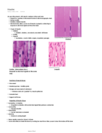 Skin, Muscles, and Nervous Tissue