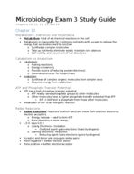 Exam 3 Study Guide