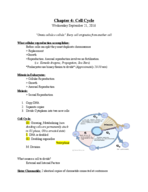 Chapter 4: Cell Cycle