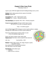 Chapter 8: How Genes Work