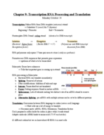 Chapter 9: Transcription, RNA processing and Translation
