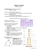 Chapter 11: Meiosis