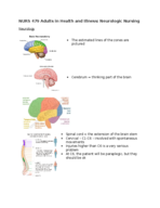 NURS 479 - MedSurg Neuro VOPPT