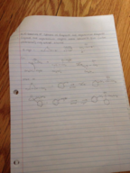 Exam 2 Study Guide