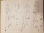 Exam 3 Study Guide 