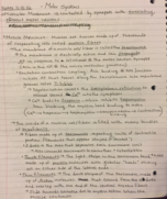 Neurobio week4 