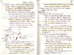 Monstrous Other - Paradise Lost, Week 2 Notes