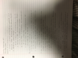 Week 11 Notes 