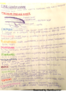 Bio Exam 3 Study Guide 