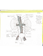 BIME 411 Notes for 10-27