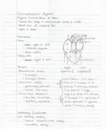 Lec 13-14: Cardiovascular