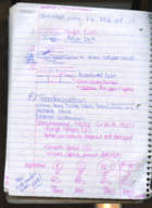 BIOB 360, Week 9 Notes (Exam 5 material)