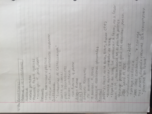Iberian Culture and Civilization, Week 9 Notes