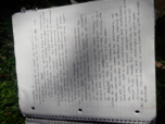 ANTH 4800 Week 12 notes