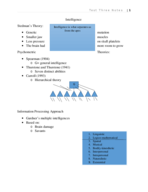 Bundle notes for Child Psych Test 3 